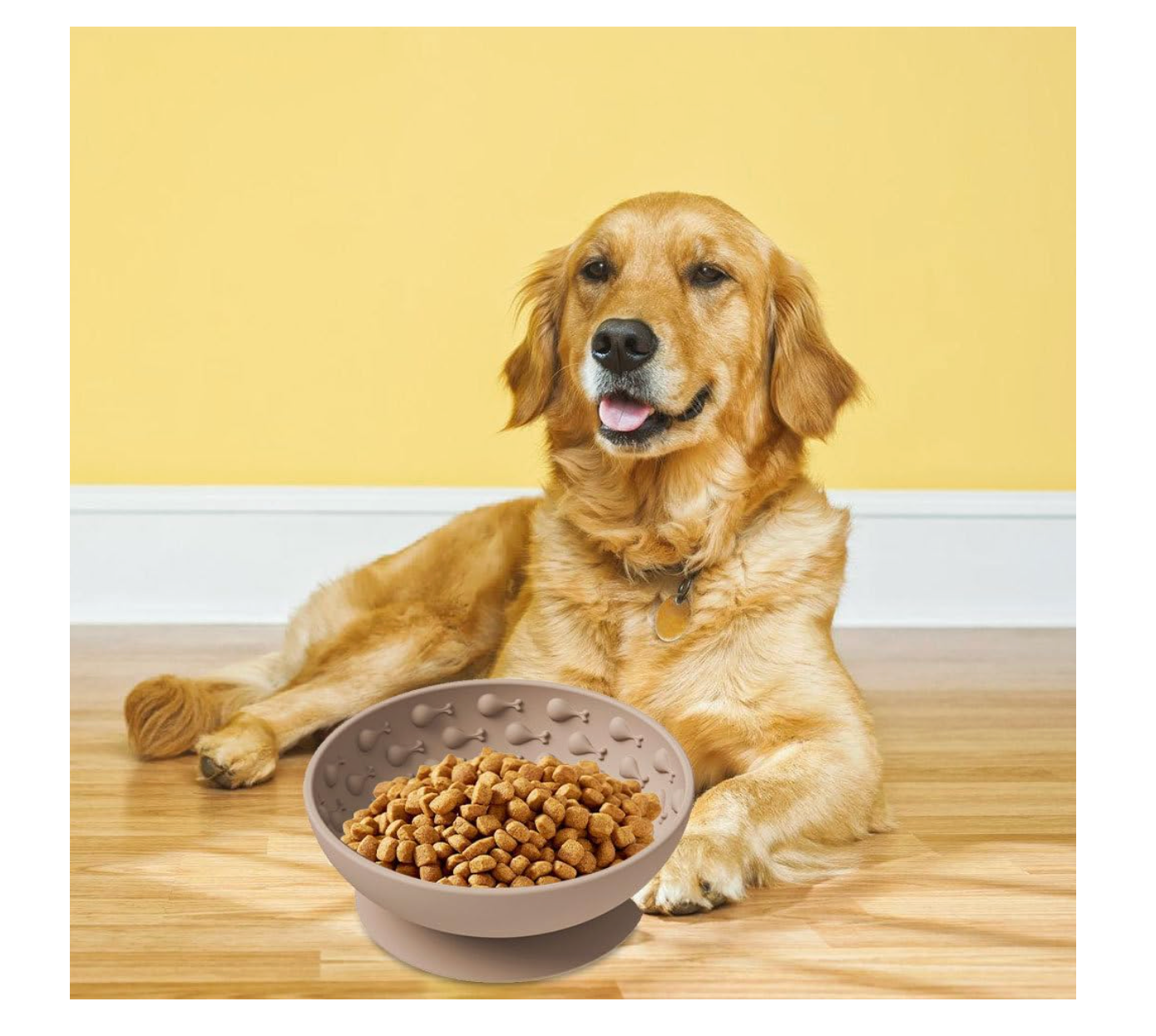 NordicPaws™ Slickmatta (Slickskål) - Lugn & kontrollerad matning för din hund 🐶